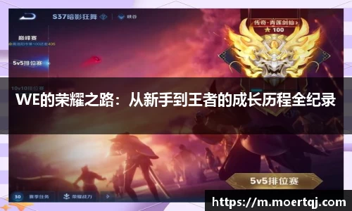 WE的荣耀之路：从新手到王者的成长历程全纪录
