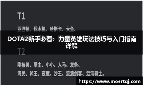 DOTA2新手必看：力量英雄玩法技巧与入门指南详解
